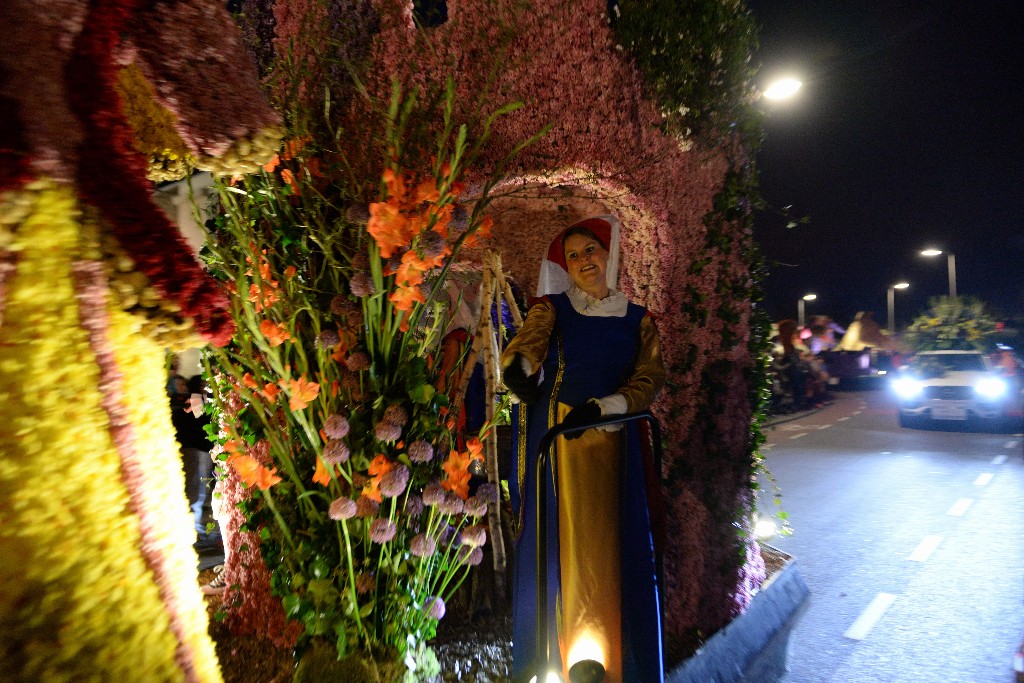 ../Images/Bloemencorso Noordwijkerhout 312.jpg